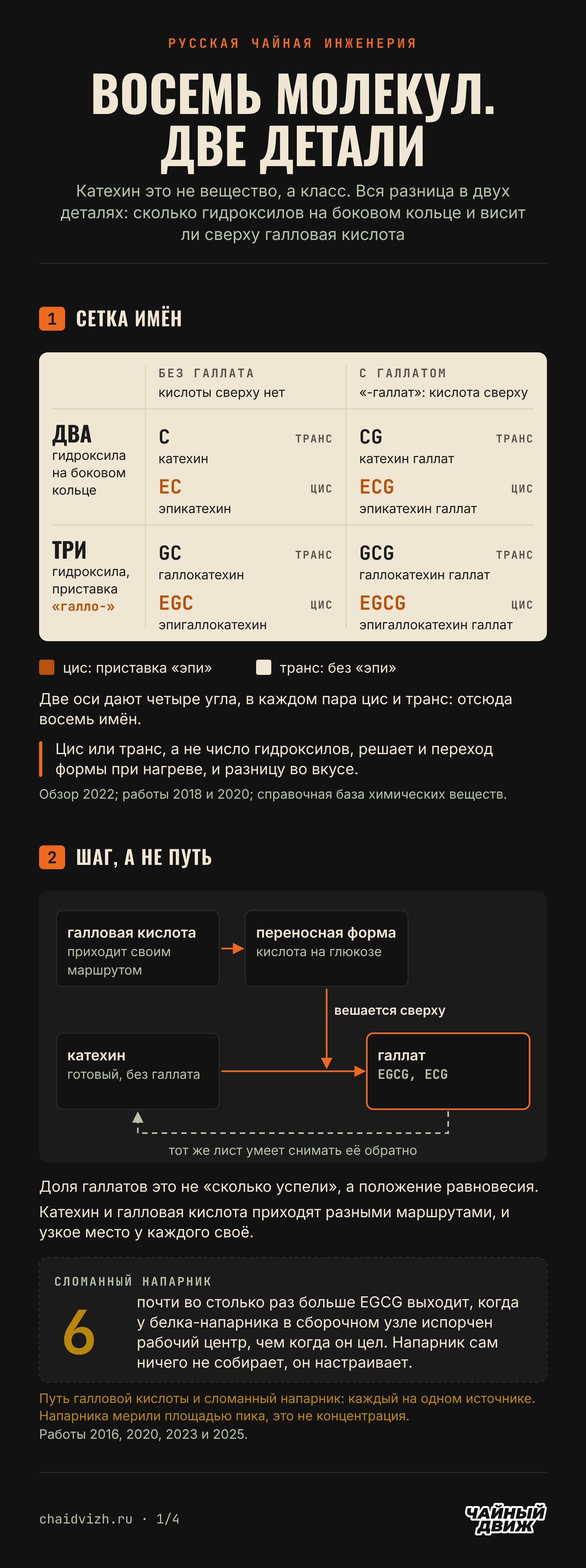 Восемь катехинов раскладываются по двум признакам, третий гидроксил и галлат, с парой цис и транс в каждом углу, а галлат вешается на готовый катехин отдельным обратимым шагом.