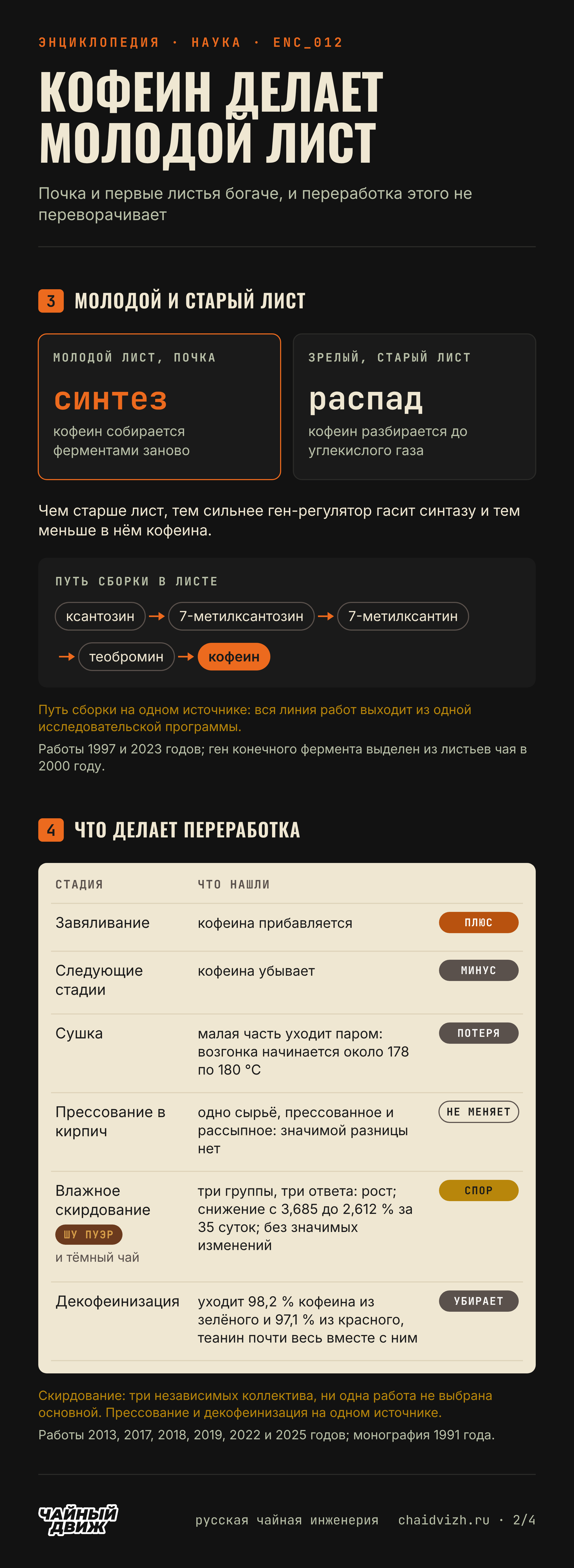 В молодом листе кофеин синтезируется, в старом разбирается, путь сборки идёт от ксантозина к кофеину, а переработка меняет его мало, кроме декофеинизации; влажное скирдование даёт три разных ответа.