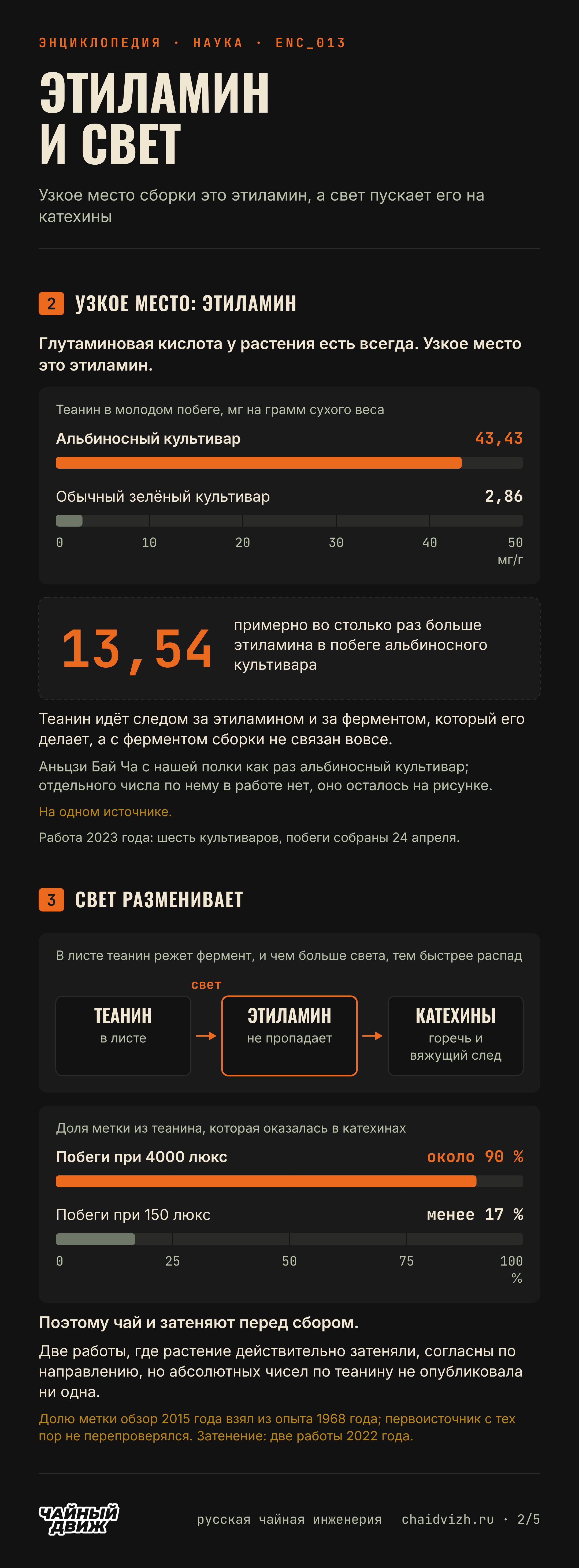 В побеге альбиносного культивара 43,43 мг теанина на грамм против 2,86 у обычного, и идёт он за этиламином, а на свету около 90 % метки из теанина уходит в катехины против менее 17 % в тени.